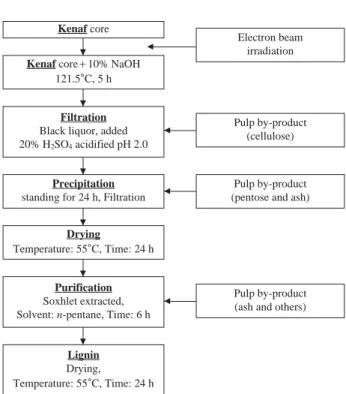 Fig. 1. Schematic of extracted-purified lignin from kenaf core.