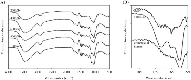 Fig. 3. Infrared spectra of extracted-purified lignin (A) in various dose of the electron beam irradiation (B) specific band of lignin.