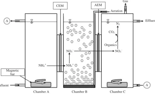 Fig. 1. A schematic diagram of the IEBR.