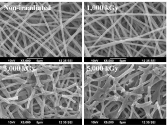 Fig. 1. SEM images of the thermal-pressed PAN nanofibers with various electron beam doses.