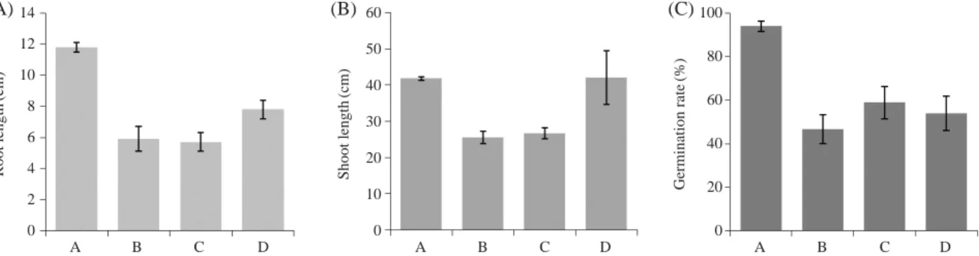 Fig. 1. Growth comparison of rice irradiated with gamma-ray, ion beam and cosmic-ray. The rice seeds were irradiated with 200 Gy of