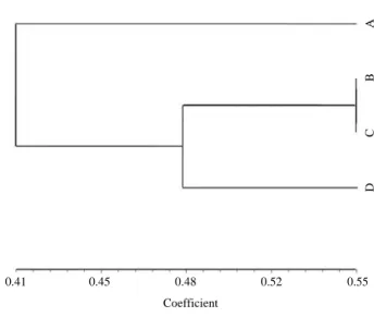 Fig. 3. Phylogenetic tree of the non-irradiation, and three irradiation