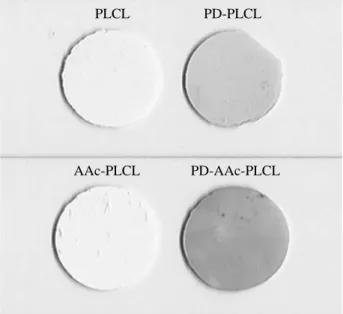 Fig. 2. Alteration of the meshes color after polydopamine coating.PLCL