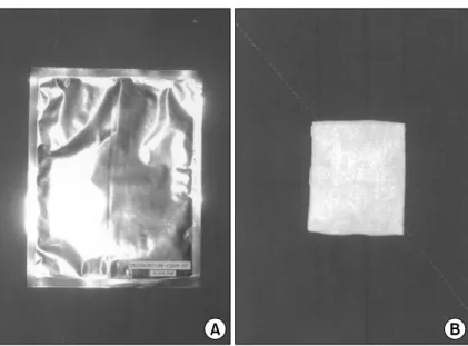 Fig.  4.  (A)  The  freeze-dried  amniotic  membrane  was  applied  on  the  partial  skin  defect  area  after  the  split  thickness  skin  graft  on  the  back