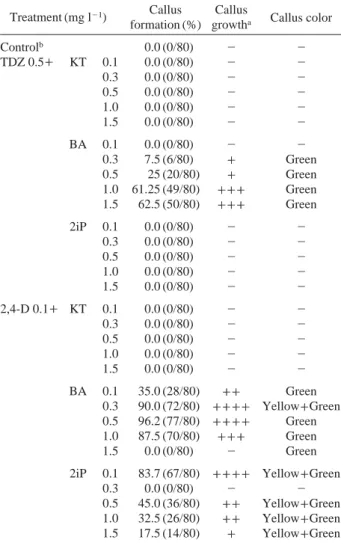 Fig. 1. Two different callus types on the treatments of single plant growth regulator