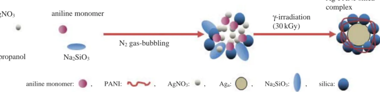 Fig. 1. Preparation process of Ag-PANI-silica complex by  γ-irradiation. Ag-polyaniline-silica nanoparticle was synthesized by  60 Co  γ-irradia-