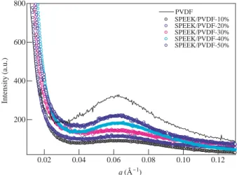 Fig. 4. Small angle X-ray scattering profiles of PVDF and SPEEK/