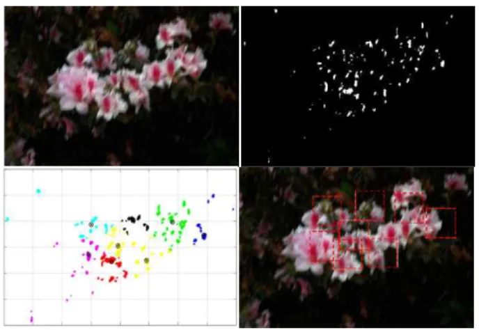 Fig. 7. Overview of the patch selection method, from left to right an top to bottom: the observed blurry image, the final patch map, the clustered patch map using K-means clustering and the final selected patch marked with a red rectangular window