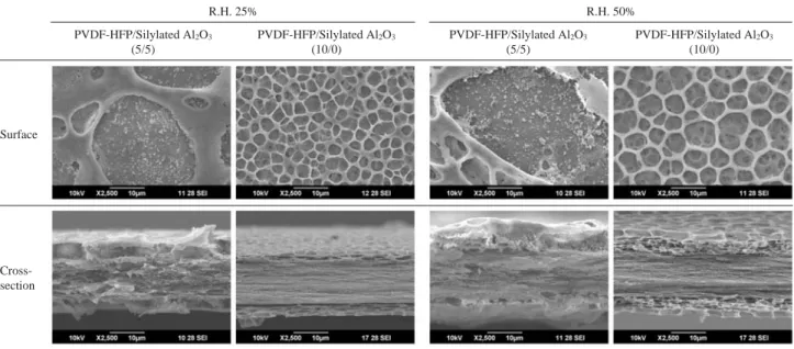 Fig. 1. SEM images of PVDF-HFP/silylated Al2 O 3 (5/5, 10/0)-coated PE separators prepared at relative humidity 25 and 50%.