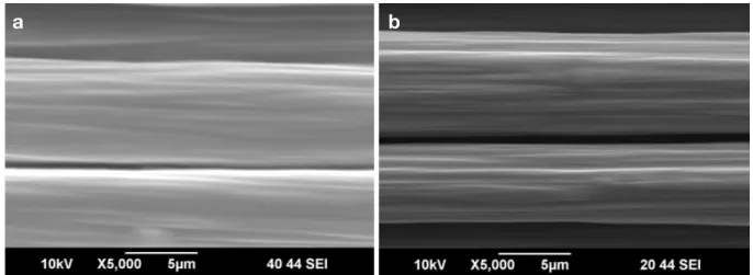Fig. 6. SEM micrographs of carbon fibers for (a) non-irradiated and (b) 500 kGy electron beam-irradiated samples.