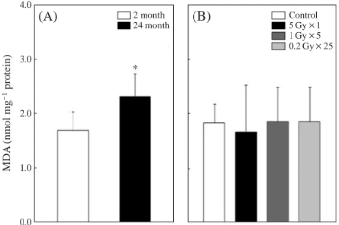 Fig. 2. The effect of aging and irradiation on the Malondialdehyde