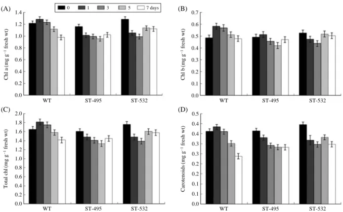 Fig. 3. Chlorophyll a content (A), chlorophyll b content (B), total chlorophyll (C) and carotenoid content (D) of the wild type and 2 salt tolerant lines in 171 mM salt solution for 7 days.
