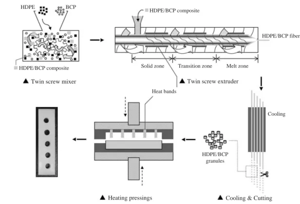 Fig. 1 shows the experimental schematic diagram for mak- mak-ing a HDPE/BCP hybrid bone plate