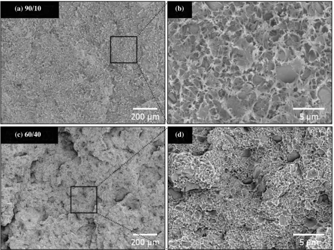 Fig. 5. SEM fracture surface of the HDPE/BCP hybrid bone plate: (a, b) 90/10 and (c, d) 60/40.