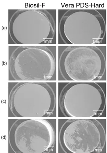 Figure  2.  SEM  images  of  the  alloy  surfaces  after  debonding: 