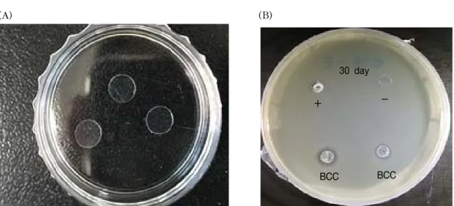 Figure  1.  Storage  of  materials  on  film  discs  in  distilled  water  and  agar  diffusion  test  to  evaluate  the  sustainability  of  antibacterial  activity  after  each  period  time:  (A)  Polyethylene  terephthalate  film  discs  applied  with 