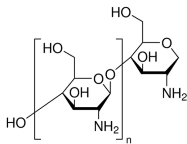 Figure  7.  The  most  stable  molecular  structure  of  chitosan  calculated by HyperChem PM3 method (HyperChem Professional  8.0,  Hypercube  Inc.,  Gainsville,  FL,  USA).