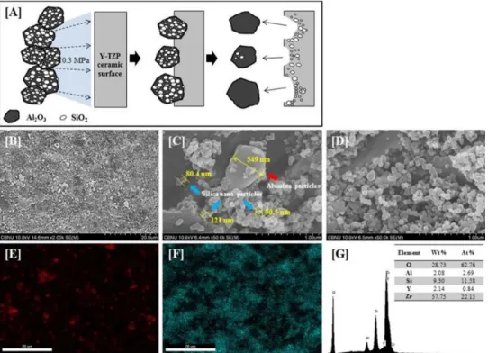 Figure  1.  (A)  Schematic  illustration  of  tribochemically  sandblasted  Y-TZP  processes
