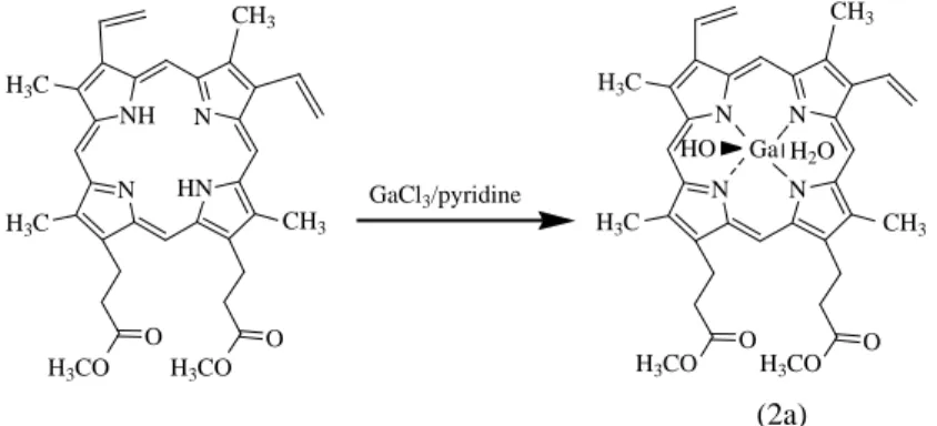 Fig. 2. Synthesis of Ga-protoporphyrin dimethyl ester.