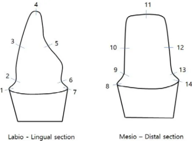Figure 1. Reference point to measure maginal and internal gap Mill LT A2는 915℃에서 15분간 유지 후  열가압 성형 하였다