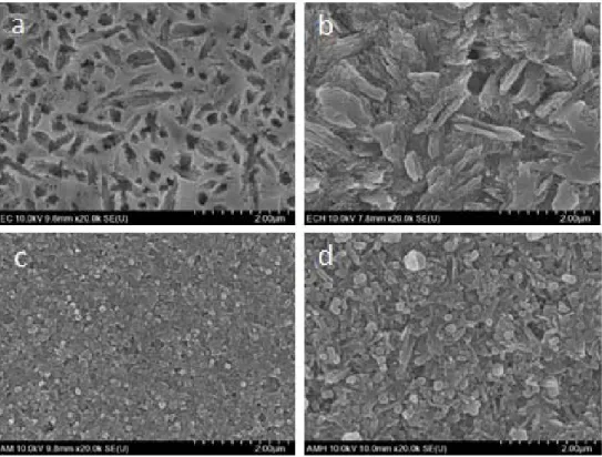 Figure 6. HR FE-SEM images of lithium disilicate glass-ceramic crowns. IPS e.max CAD crystallization before (a) and after (b), Amber mill  crystallization  before  (c)  and  after  (d)