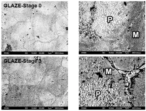 Figure  3.  Microstructure  after  glaze:  Glaze  treatment  of  Stage  0  (GLAZE-Stage  0)  and  glaze  treatment  of  Stage  3  (GLAZE-Stage  3)  at  magnifications  of  ×3,000  (left),  ×15,000  (right).