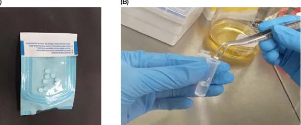 Figure 1. Hydroxyapatite discs sterilized before use (A) and storage of the hydroxyapatite discs applied with the mixture of antibacterial  agent  and  experimental  fluoride  varnish  in  distilled  water  for  designated  time  to  evaluate  the  sustain