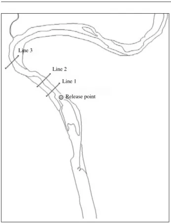 Fig. 3. Calculated time-varying velocities at the center point of