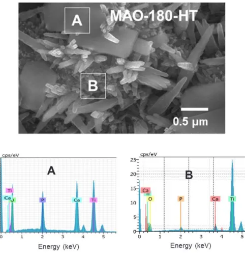 Figure  3.  Chemical  compositions  of  micro-sized  (A)  and  nano-sized  (B)  crystals  on  MAO-180-HT  group.