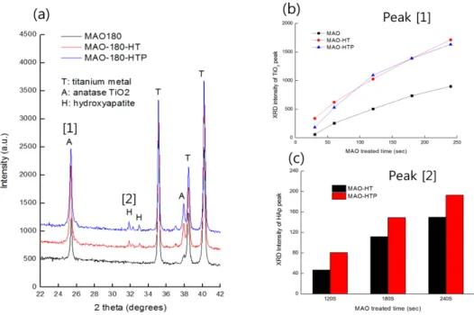 Figure 5. (a) X-ray diffraction patterns of MAO-180, MAO-180-HT, and MAO-180-HTP groups, (b) Comparison of TiO 2  peak [1] intensity  with  MAO-treatment  time  change,  (c)  Comparison  of  HAp  peak  [2]  intensity  with  MAO-treatment  time  change.