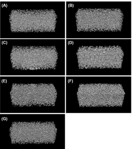 Figure 2. Micro-CT image of experimental sponge brush products. Each uppercase letter indicates the code of the experimental sponge  brush  products