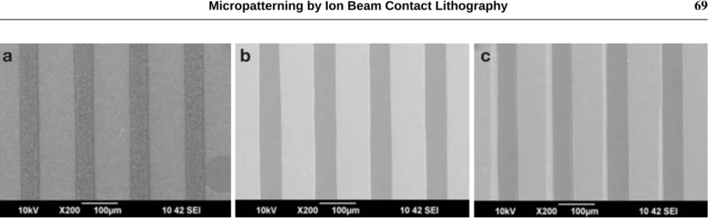 Fig. 2 shows the SEM images of the negative type patterns on a wafer prepared by ion irradiation at various fluences.