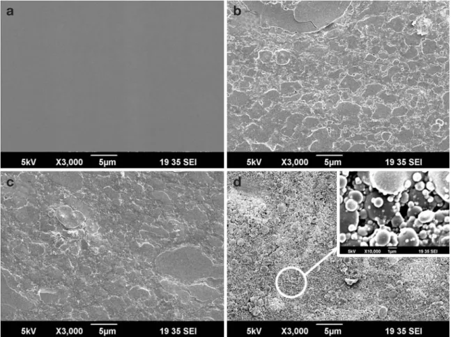 Fig. 3. Surface microstructure of SiC-C composite; (a) PCS/epoxy/PVB composite film, (b) after 200 kGy electron beam irradiation, (c) after