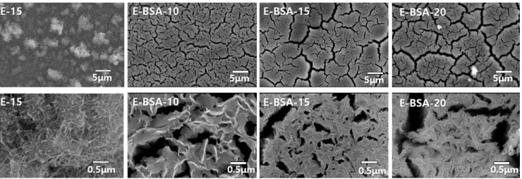 Figure  1.  SEM  images  of  E-15,  E-BSA-10,  E-BSA-15,  and  E-BSA-20  groups. 항온수조를  놓고  준비된  전해질을  항온수조에  채운  다음, 음극에  티타늄  시편을  연결하고  양극에  백금선재를  연결하였다