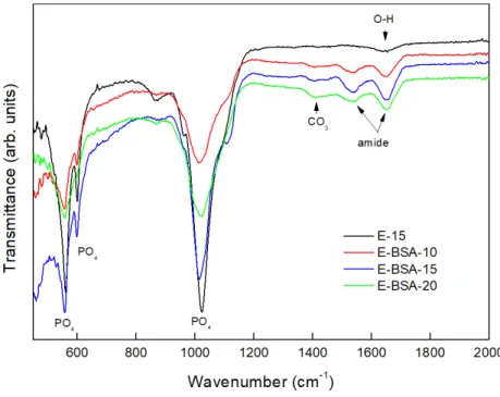 Figure  3.  FT-IR  spectra  for  E-15,  E-BSA-10,  E-BSA-15,  and  E-BSA-20    groups
