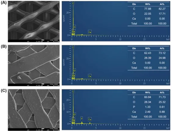 Table  2.  Comparison  of  pore  size  and  porosity  for  each  group.