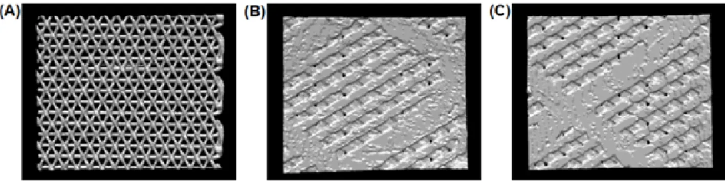 Figure  3.  The  micro-CT  image  of  (A)  PCL40,  (B)  PCL30,  and  (C)  PCL30@β-TCP  experimental  groups.