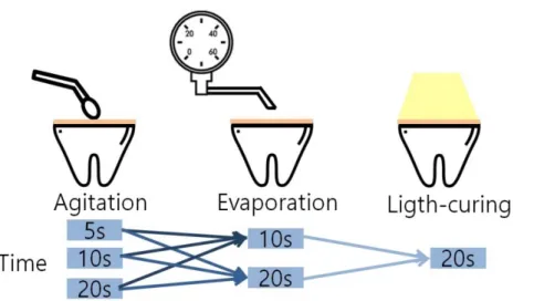 Figure  1.  Experimental  protocol  of  this  study.