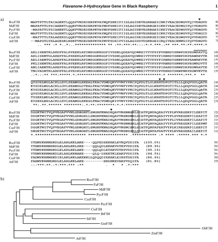 Fig. 2. Sequence alignment of the deduced amino acid sequence of RocF3H with other plant F3Hs