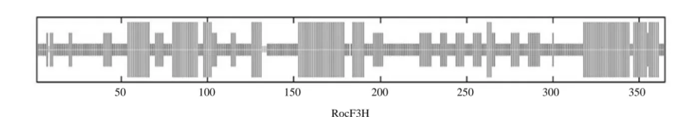 Fig. 3. Secondary structure prediction of RocF3H. Four kinds of line bars in descending in length represent alpha helix, extended strand,