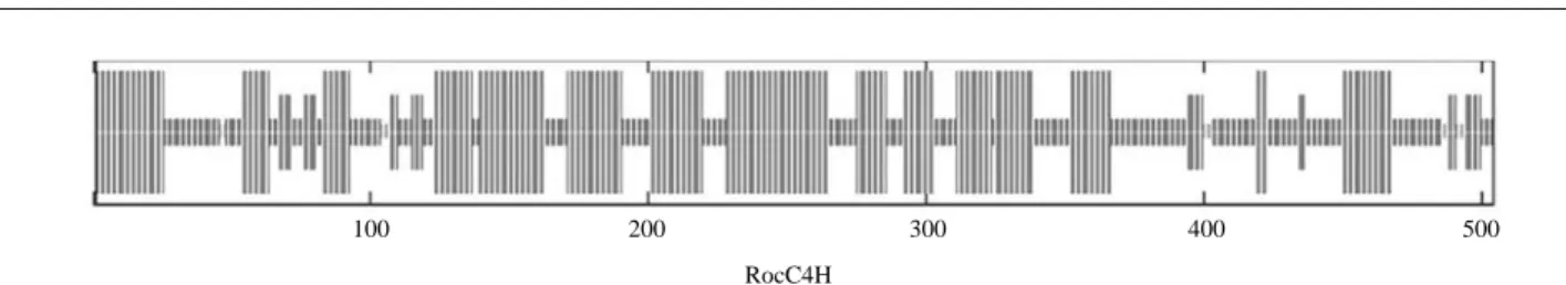 Fig. 4. Southern blot analysis. Genomic DNA of R. occidentalis was extracted as described in MATERIALS AND METHODS