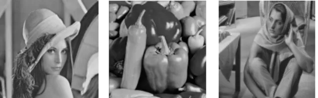 Fig. 3. Test images : (a) ‘Lena’ image, (b)