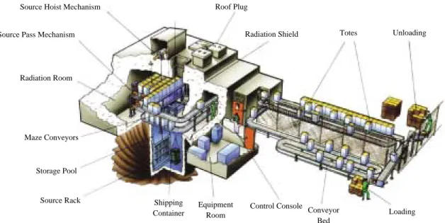 Fig. 2. Schematic diagram of a typical panoramic, wet storage gamma irradiation facility (courtesy of MDS Nordion, Canada).