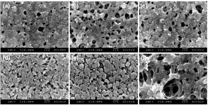 Fig. 1. Surface morphology of the membranes coagulated in: (a) 0 : 100 of ethanol : water bath, (b) 10 : 90 of ethanol : water bath, (c) 20 : 80