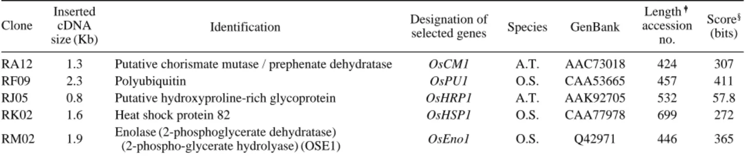 Table 2. Characterization of 5 selected clones differentially expressed in 5MT resistant mutant