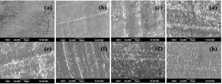 Fig. 1. SEM images of pristine PTFE (a) and Ar + + implanted PTFE with 1 ×10 14 ions cm -2 (b), 5 ×10 14 ions cm -2 (c), 1 ×10 15 ions cm -2 (d),