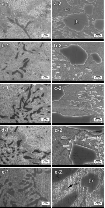 Fig.  4.  FE-SEM  micrographs  at  a  magnification  of  3000× 