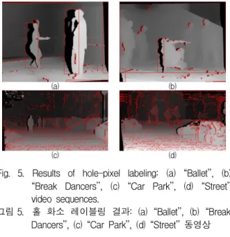 그림 4. 홀 화소 레이블링(labeling) 예