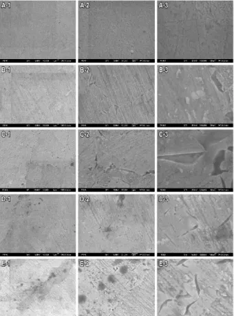 Figure  2.  FE-SEM  micrographs  of  3,000×(1),  9,000×(2)  and  30,000×(3)  for  the  specimens  after  simulated  complete  firing