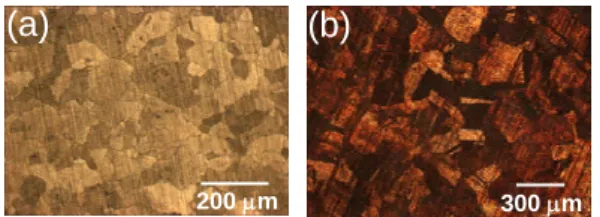 Table 1 Hardness and grain size of the pure Fe and  OFHC Cu specimens 